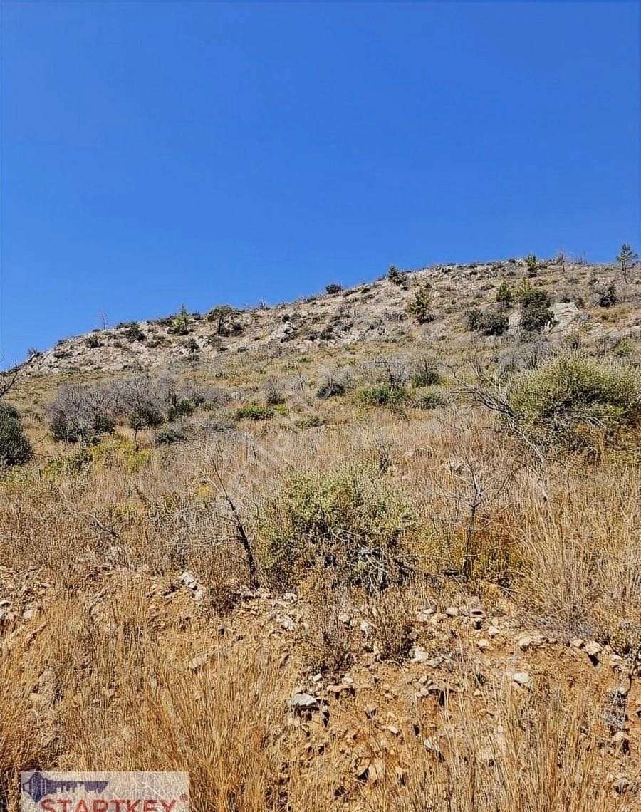 Startkey Pelit Milas Gökbel'de Satılık Denize 400 M Tarla - Görsel 8