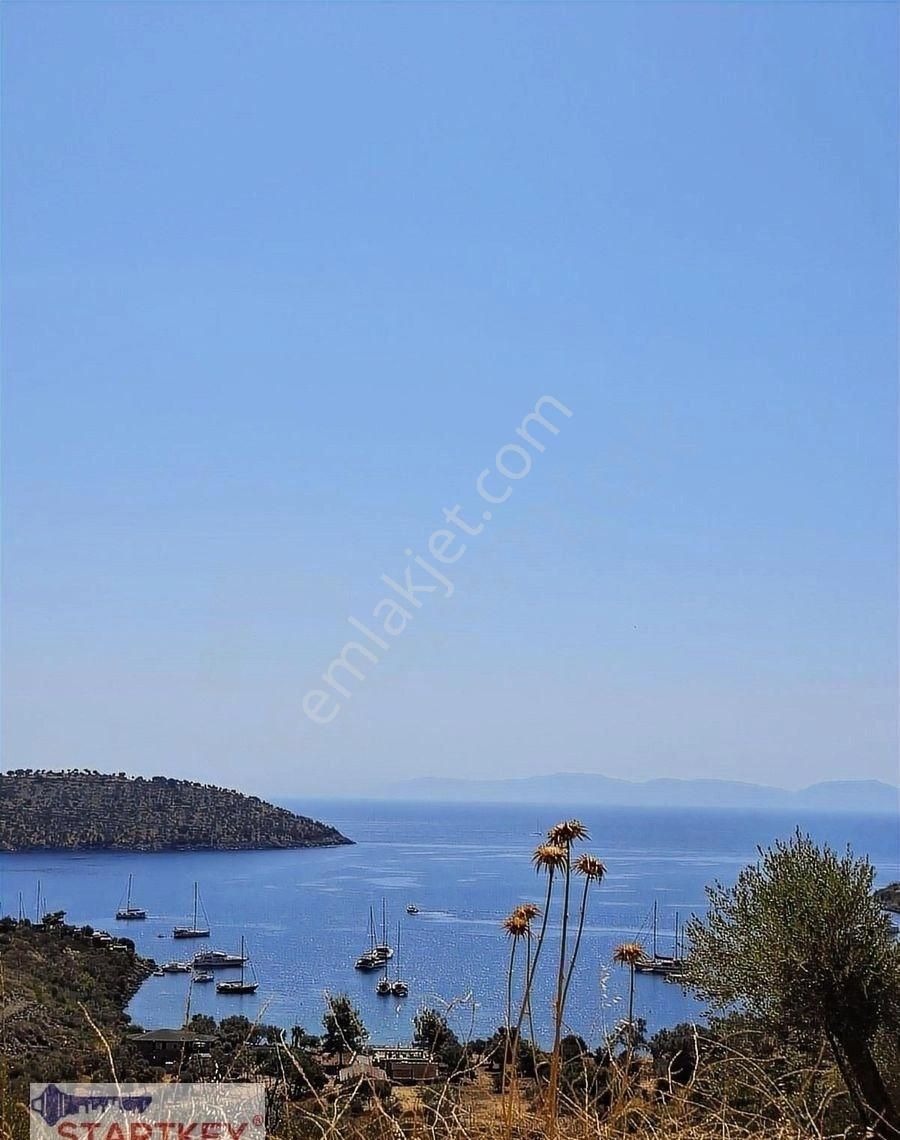 Startkey Pelit Milas Gökbel'de Satılık Denize 400 M Tarla - Görsel 2