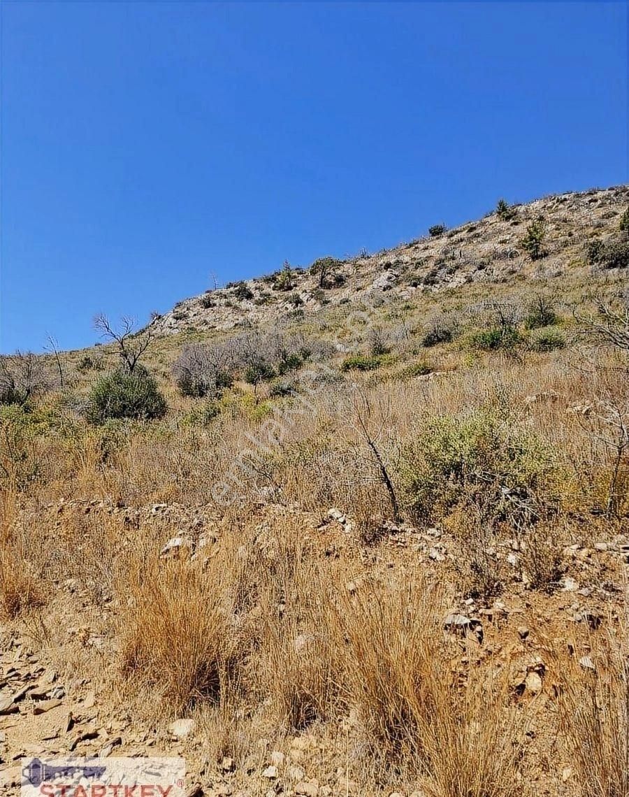 Startkey Pelit Milas Gökbel'de Satılık Denize 400 M Tarla - Görsel 13