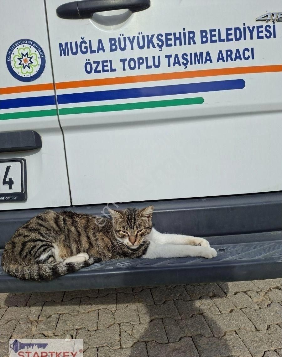 Startkey Pelit Gayrimenkul'den Sındı'da Deniz Manzaralı Tarla - Görsel 10