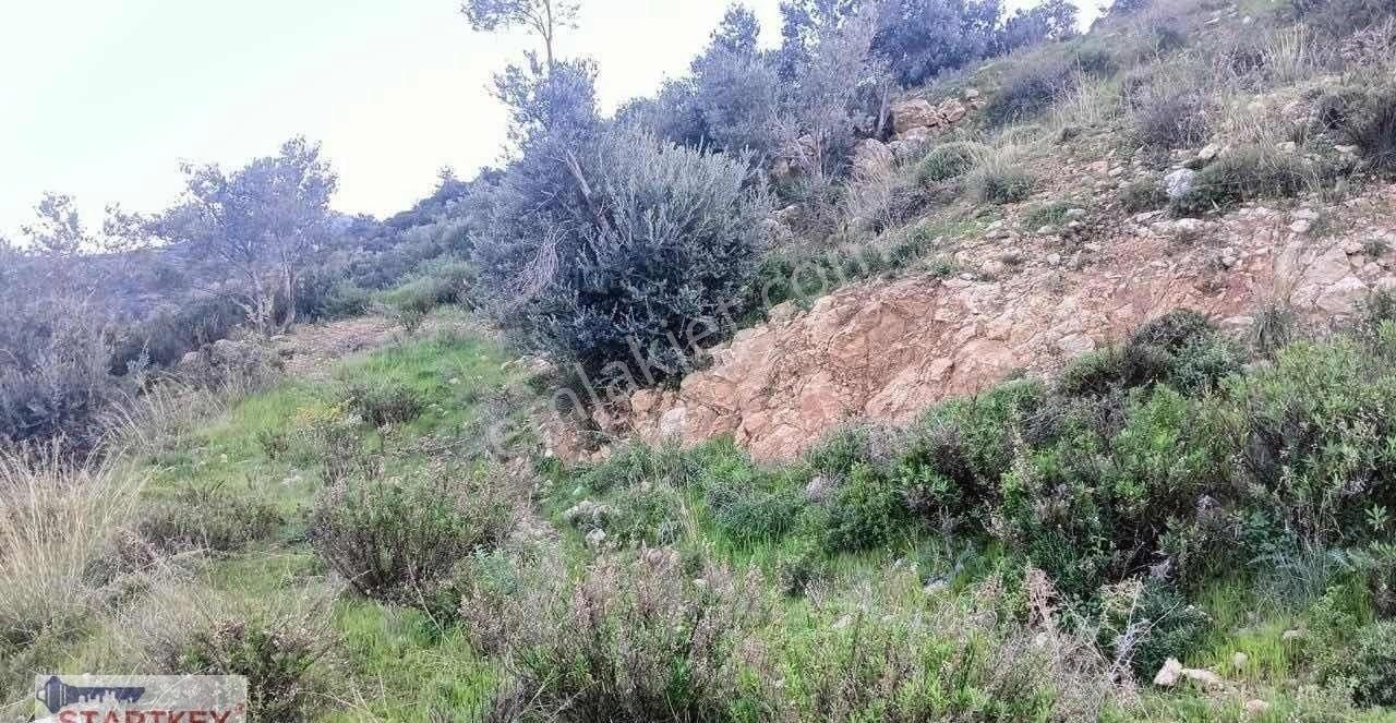 Startkey Pelit Hızırşah'ta 88 M Yol Cepheli Tarla - Görsel 18