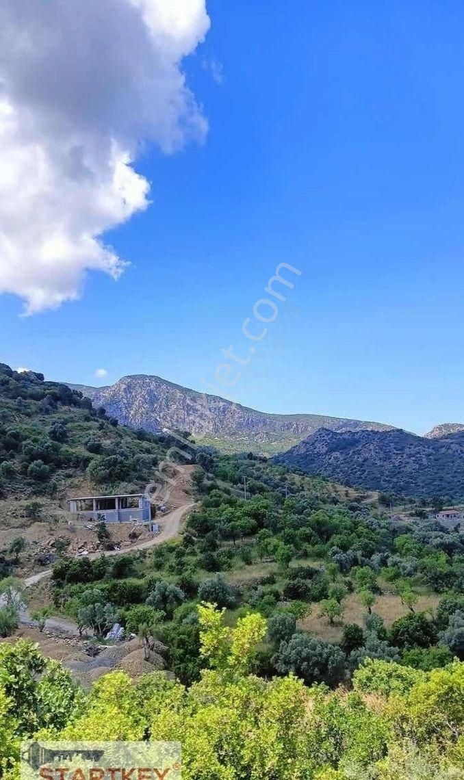 Startkey Pelit Hızırşah'ta 88 M Yol Cepheli Tarla - Görsel 8