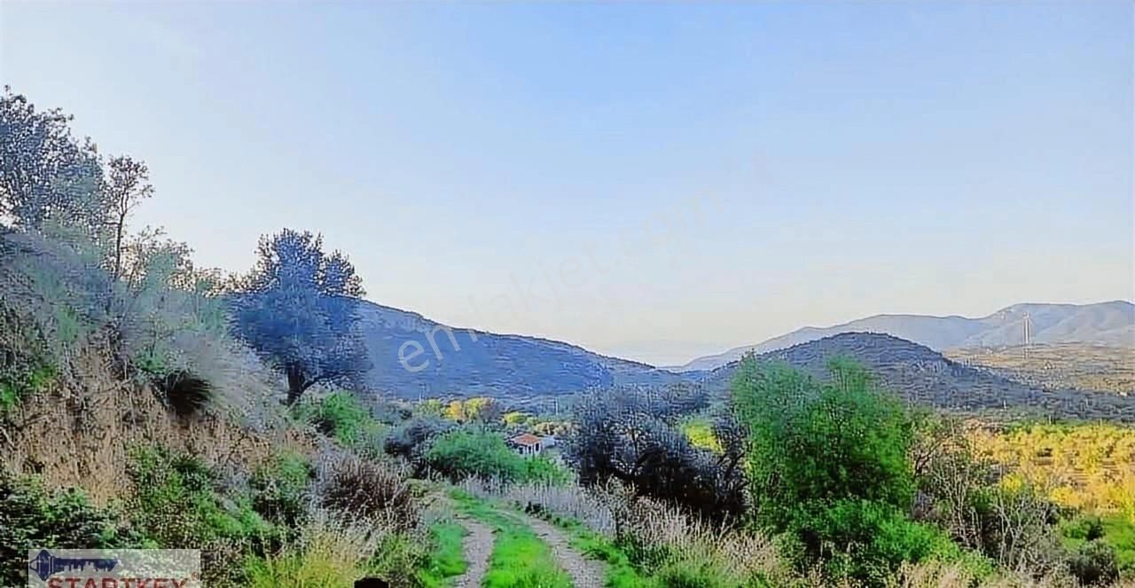 Startkey Pelit Hızırşah'ta 88 M Yol Cepheli Tarla - Görsel 19