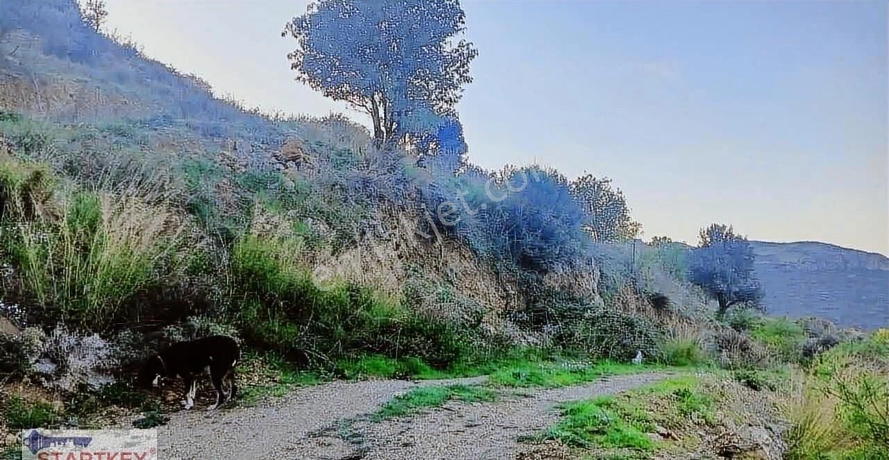 Startkey Pelit Hızırşah'ta 88 M Yol Cepheli Tarla - Görsel 9