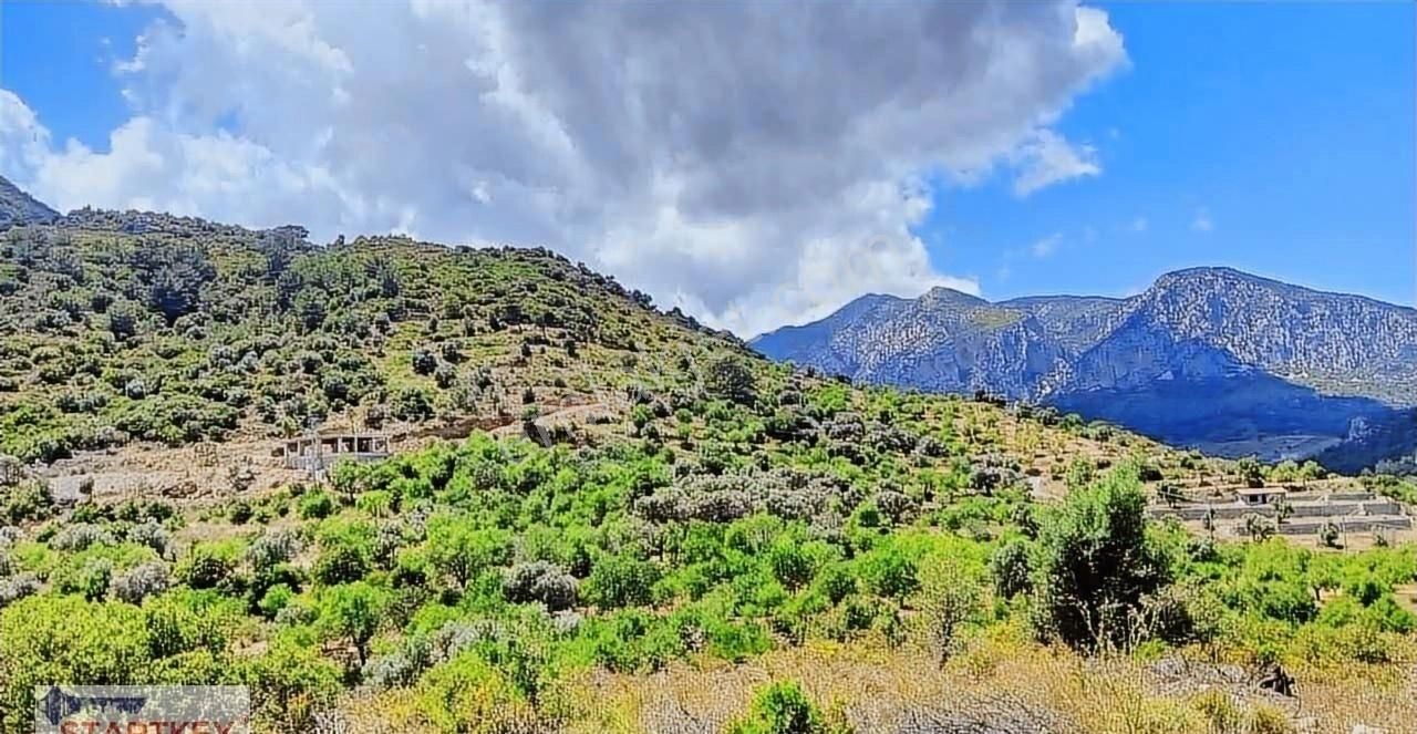 Startkey Pelit Hızırşah'ta 88 M Yol Cepheli Tarla