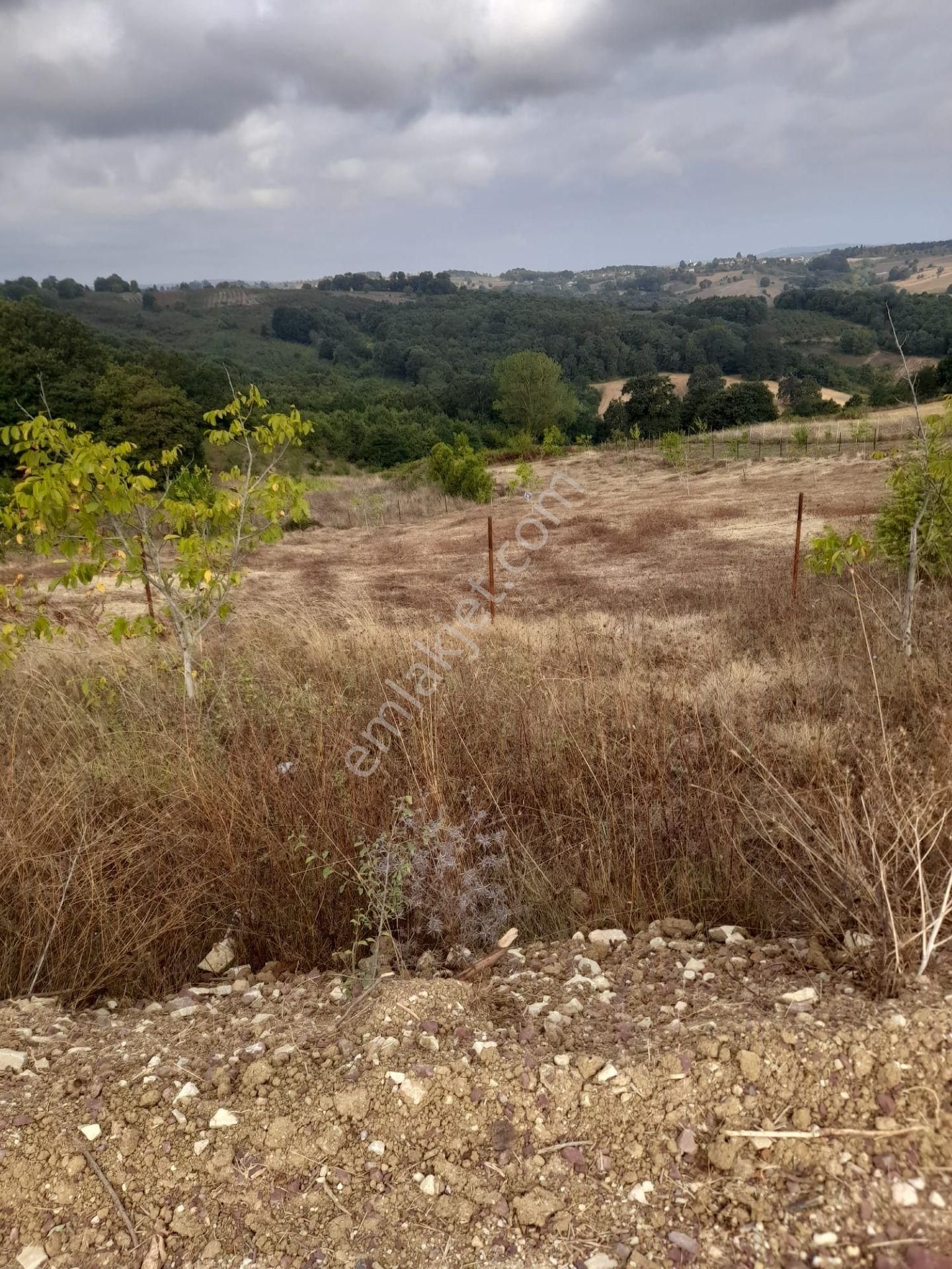 Kandıra Yusufça' Da 2140 M2 İmarlı Satılık Tarla-doğalgaz Geldi