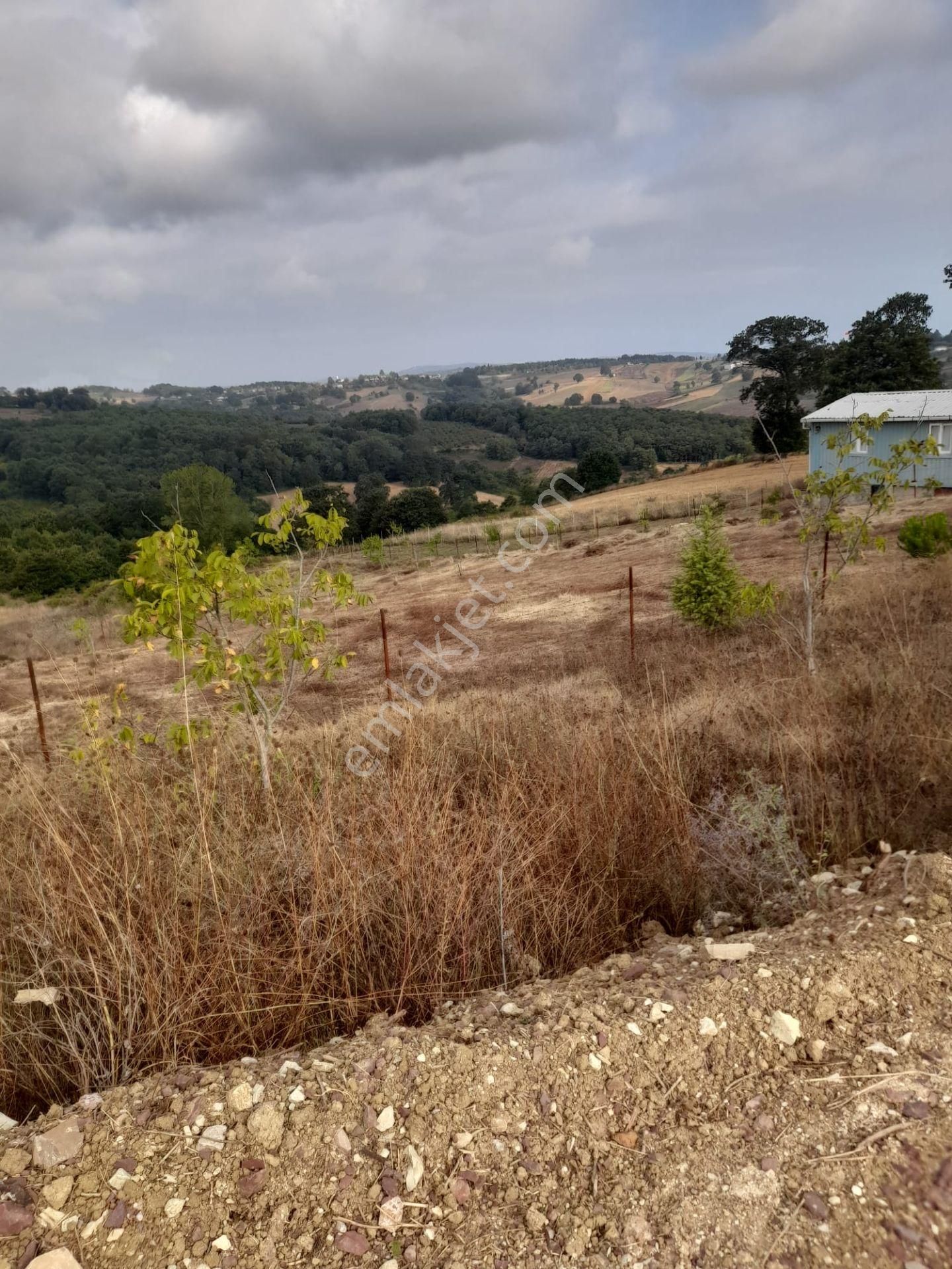 Kandıra Yusufça' Da 2140 M2 İmarlı Satılık Tarla-doğalgaz Geldi - Görsel 4