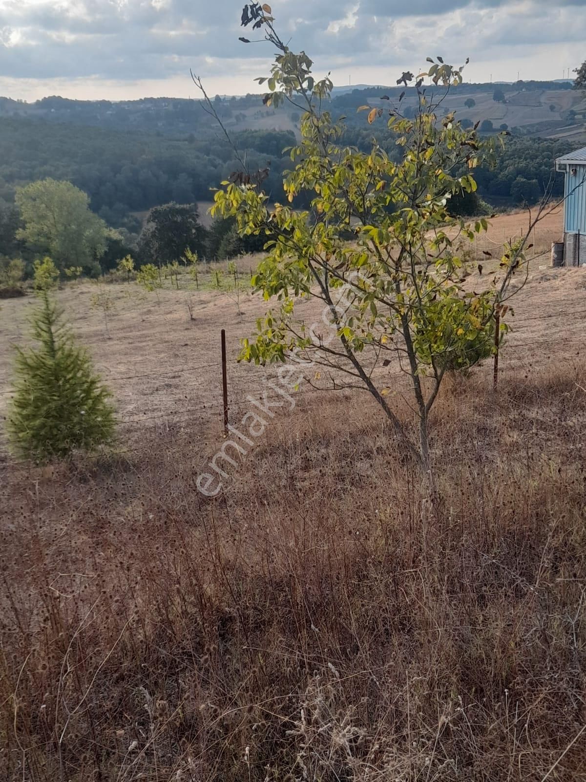 Kandıra Yusufça' Da 2140 M2 İmarlı Satılık Tarla-doğalgaz Geldi - Görsel 2