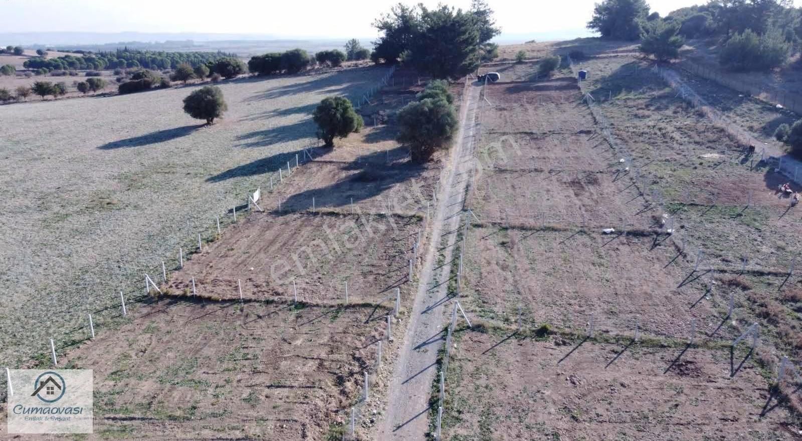 Cumaovası Emlaktan Satılık Şaşal'da 380m2 Hisse Tapu - Görsel 2