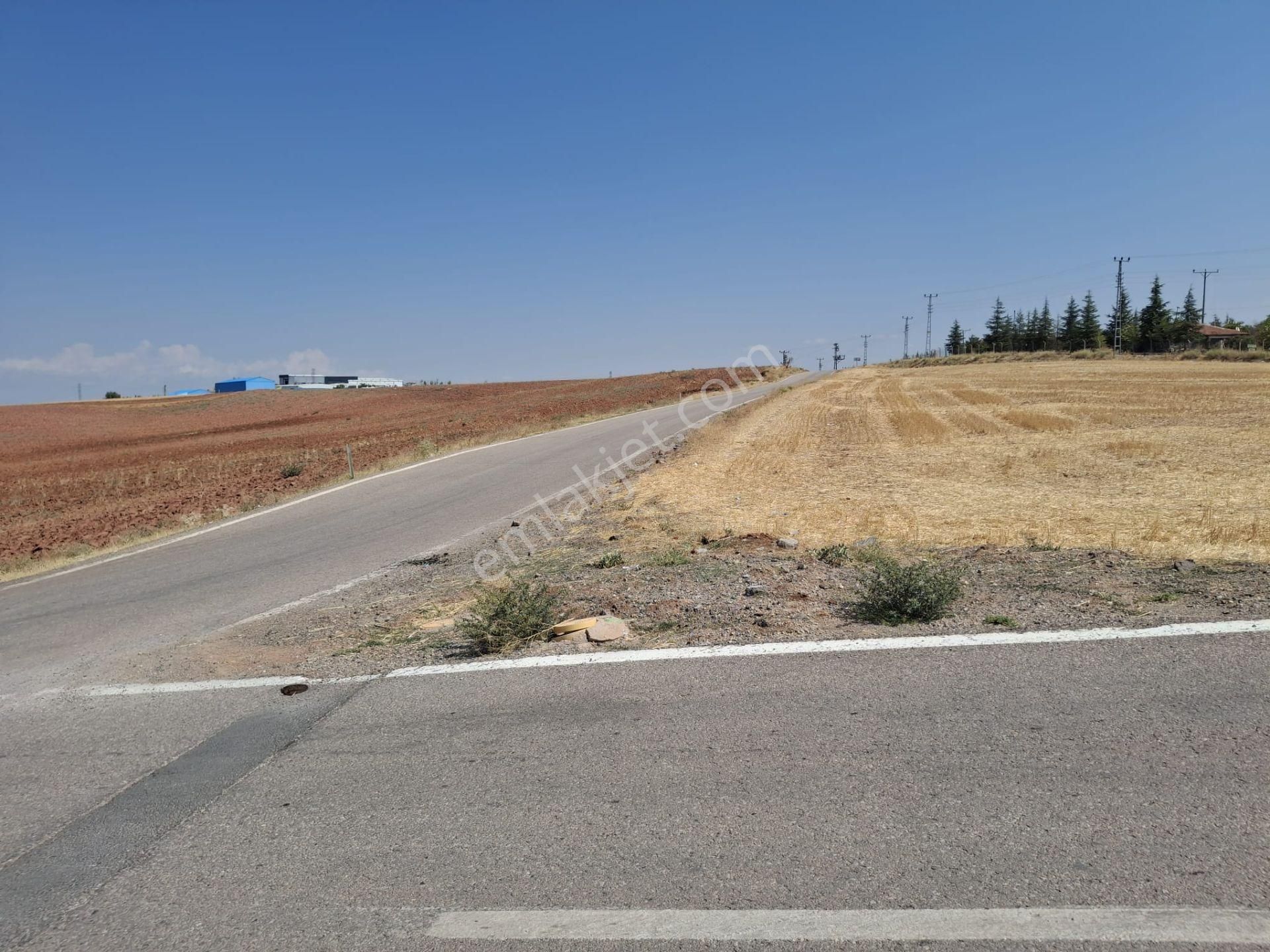 Sahibinden Kavaklı Köy İçi İmarlı Arsa - Görsel 3