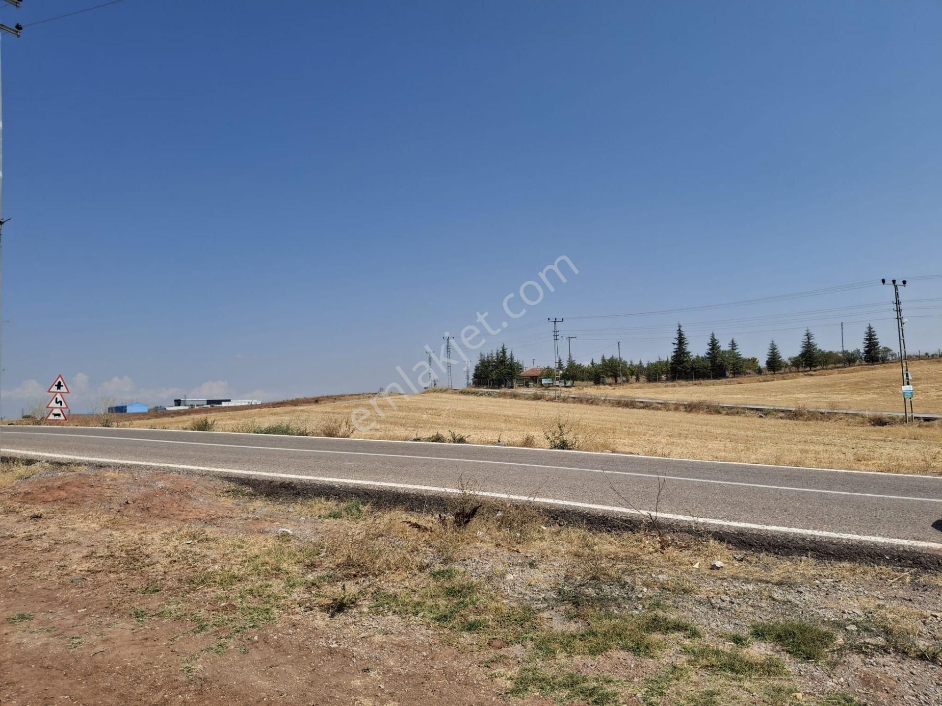 Sahibinden Kavaklı Köy İçi İmarlı Arsa - Görsel 5