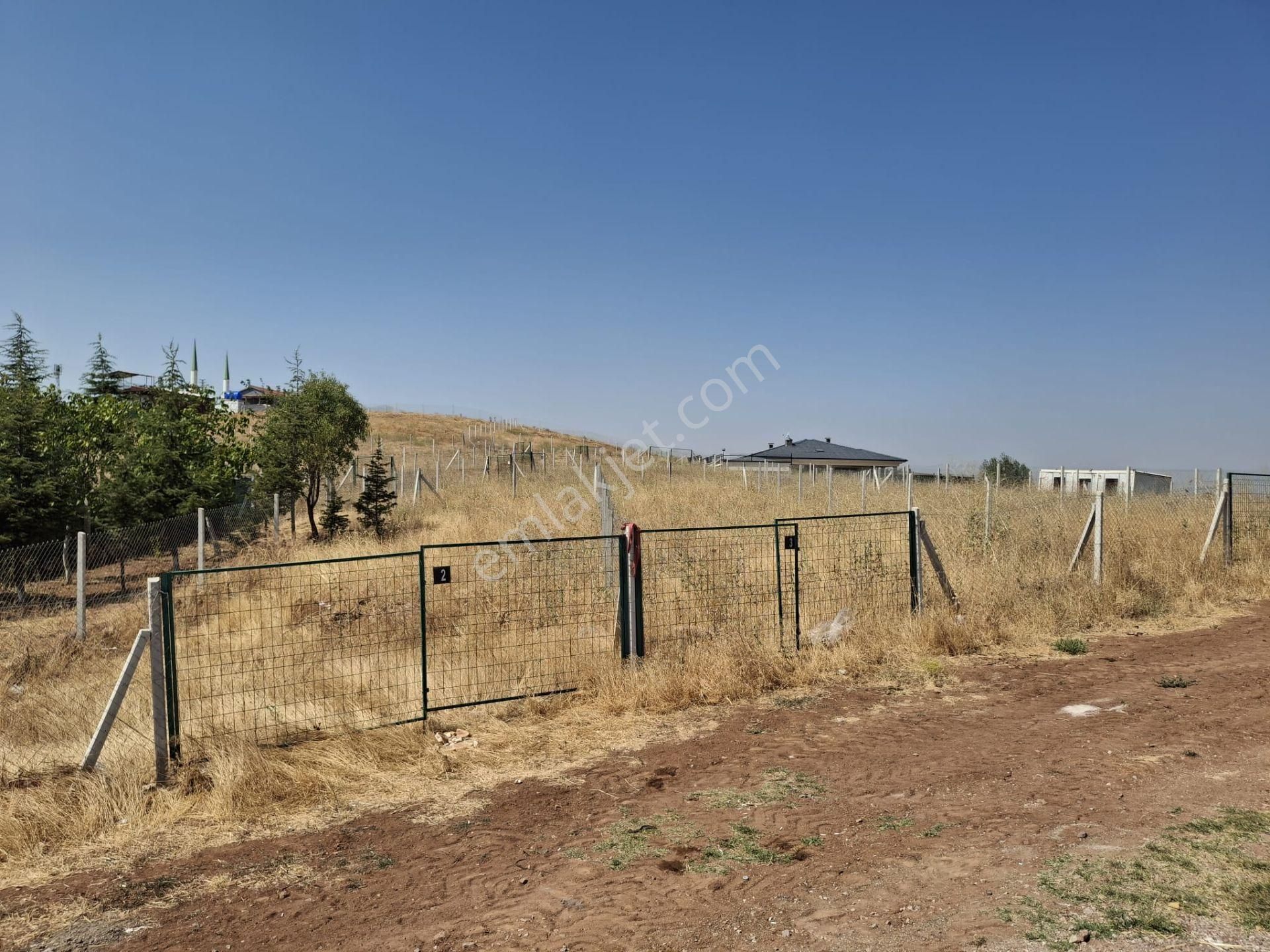 Sahibinden Kavaklı Köy İçi İmarlı Arsa - Görsel 2