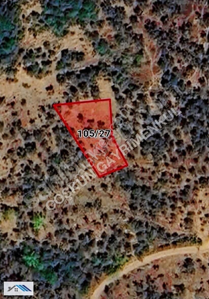 Bursa/orhangazi /çakırlı Satılık Zeytinlik - Görsel 4