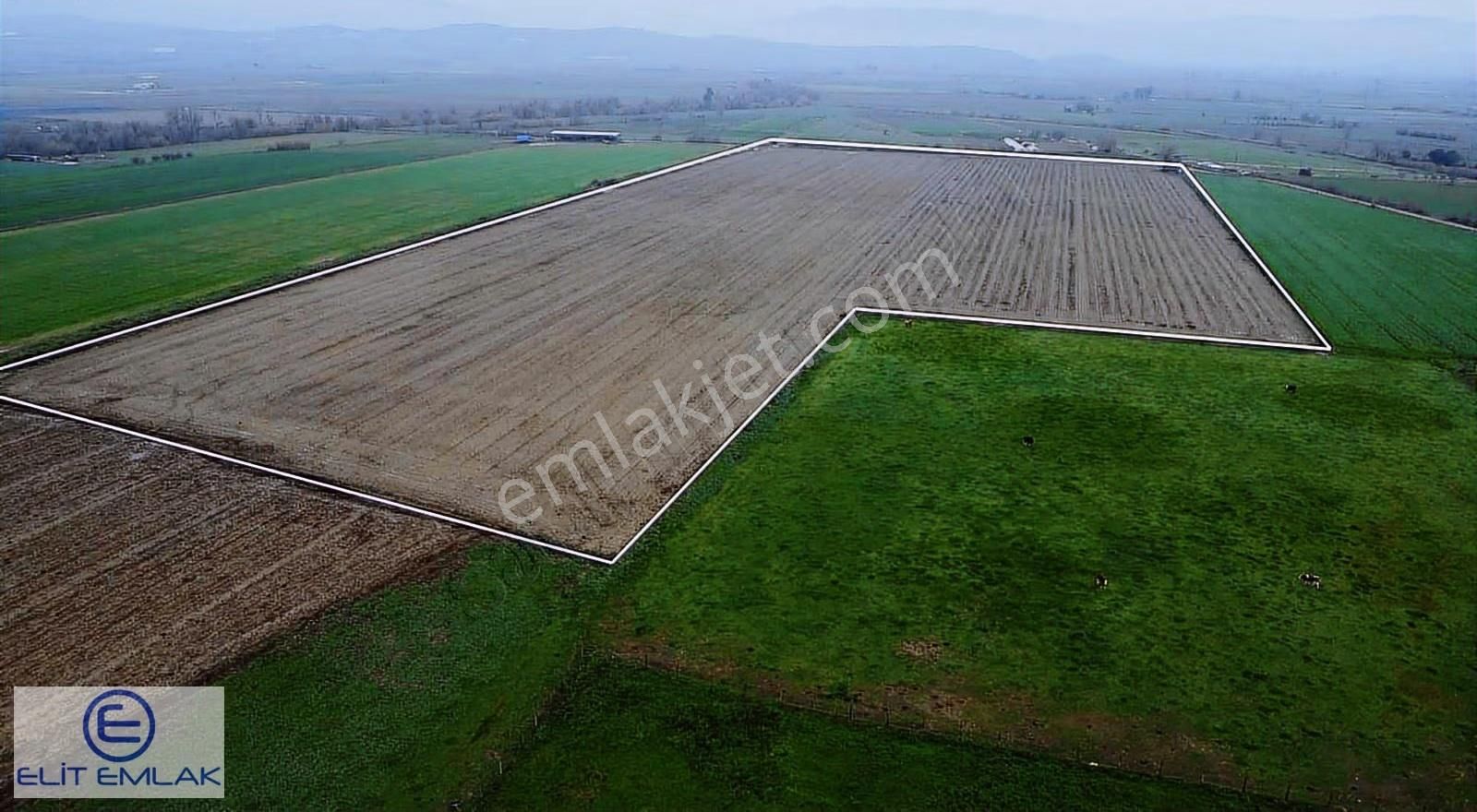 Elit Emlak Aydın Çine De Satılık 87,550 Metrekare Tarım Arazisi - Görsel 4