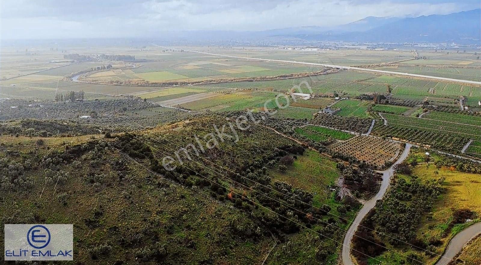 Aydın Gölhisar Eşsiz Güzellikte Satılık Zeytinlik Arazi - Görsel 2