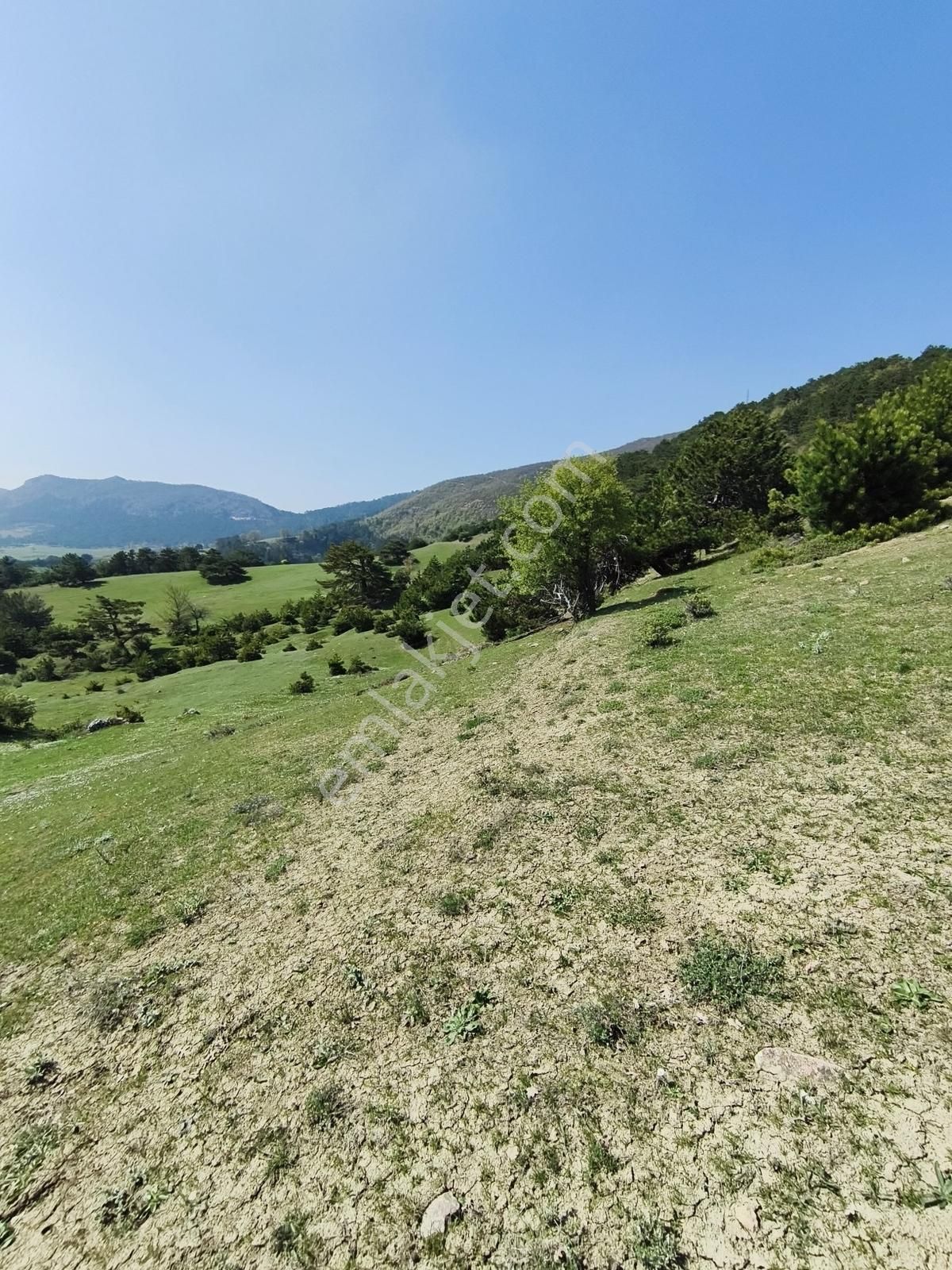 Geyve Çamlık'da 4.401m² Doğa İle İç İçe Yatırımlık Tarla - Görsel 11