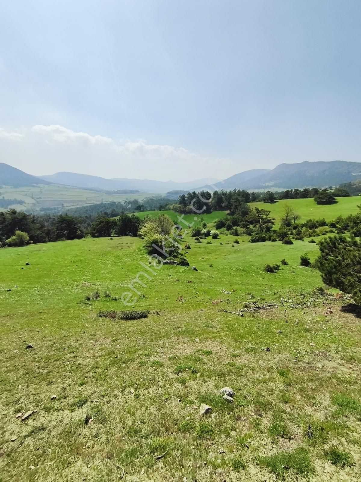Geyve Çamlık'da 4.401m² Doğa İle İç İçe Yatırımlık Tarla