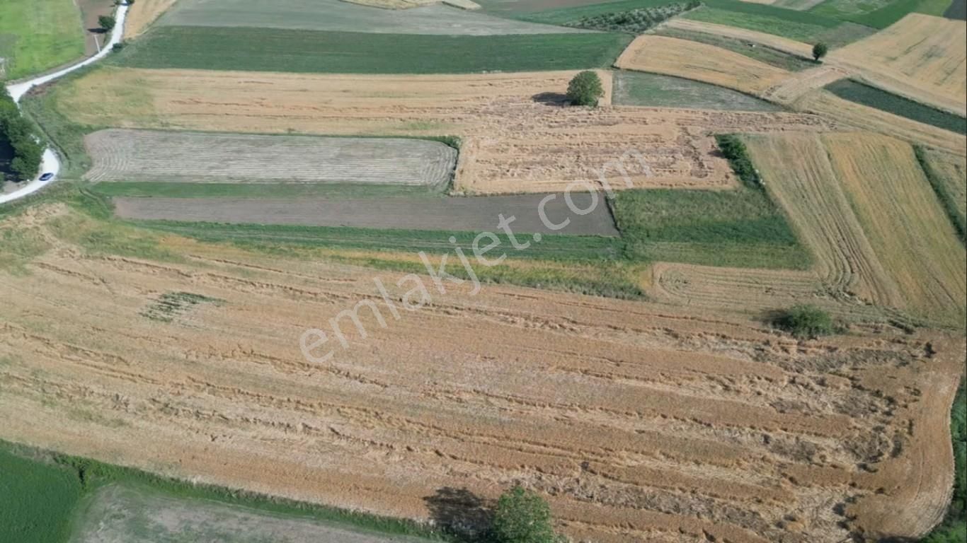 Turyaptan Adapazarı Kayrancık'ta Otoyola Yakın Yatırımlık Arazi - Görsel 11