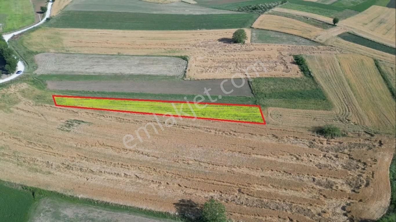 Turyaptan Adapazarı Kayrancık'ta Otoyola Yakın Yatırımlık Arazi - Görsel 23