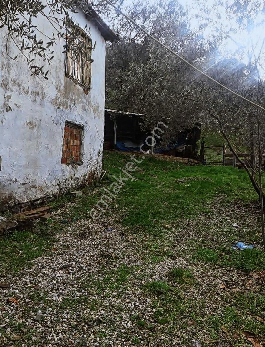 2+1 675m2 Müstakil Köy Evi - Görsel 4