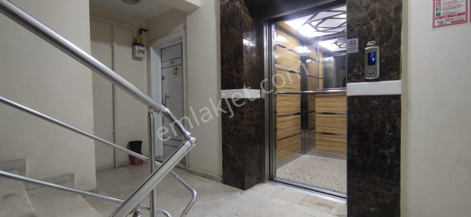 Elfi Den Plevne Mahallesi Satılık 1+1 Daire - Görsel 6