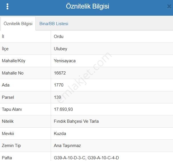 Ordu Ulubey Yenisayaca Satılık Fındık Bahçesi - Görsel 4