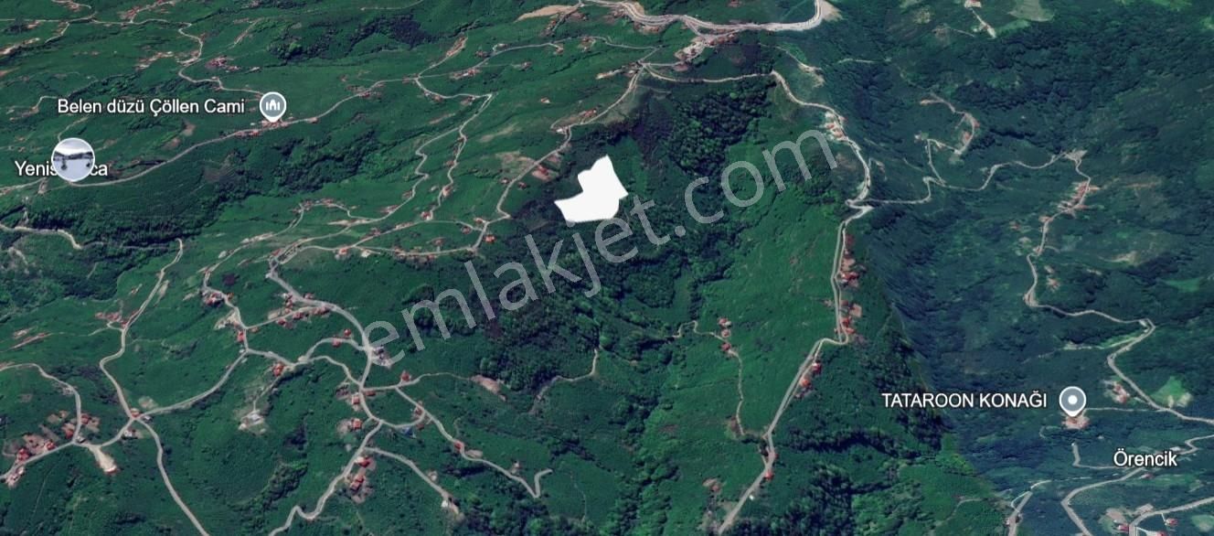 Ordu Ulubey Yenisayaca Satılık Fındık Bahçesi - Görsel 6