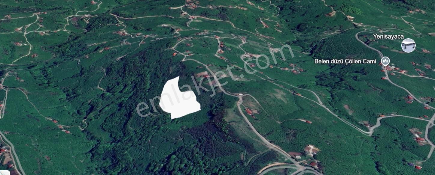 Ordu Ulubey Yenisayaca Satılık Fındık Bahçesi - Görsel 5