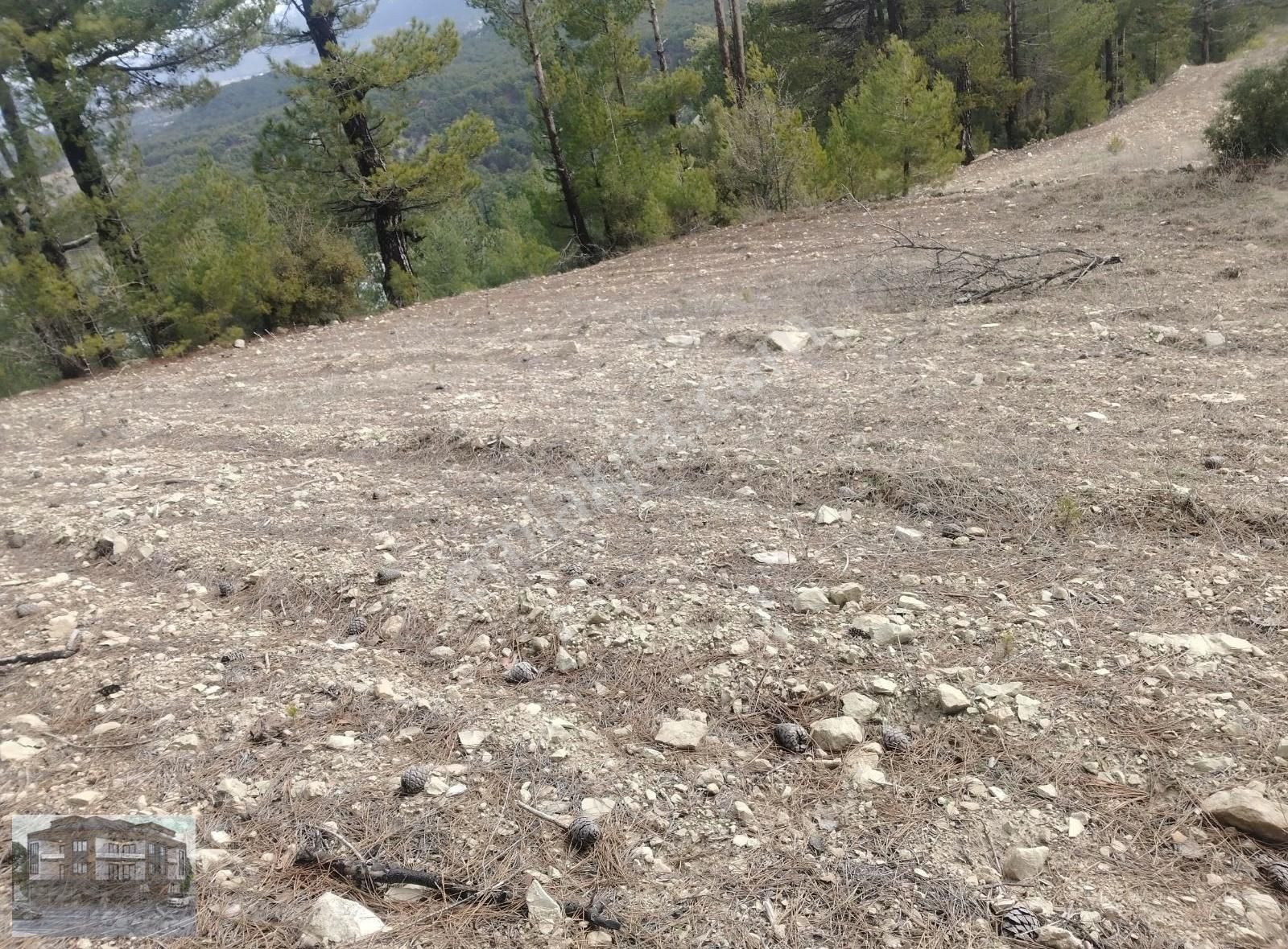 Denizli/çameli/kolak Mh.satılık Tek Parsel Tarla Satılık - Görsel 11