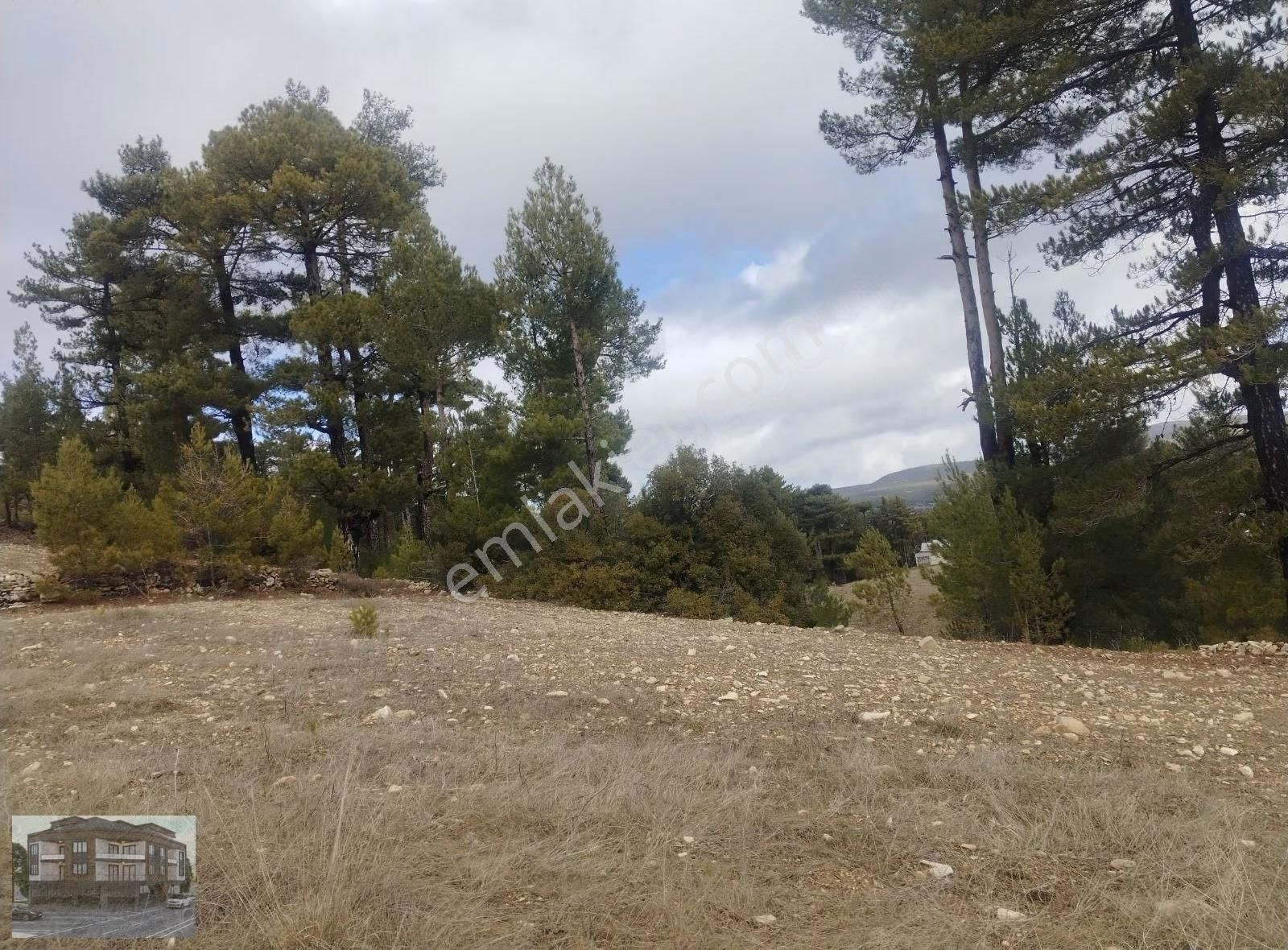 Denizli/çameli/kolak Mh.satılık Tek Parsel Tarla Satılık - Görsel 4