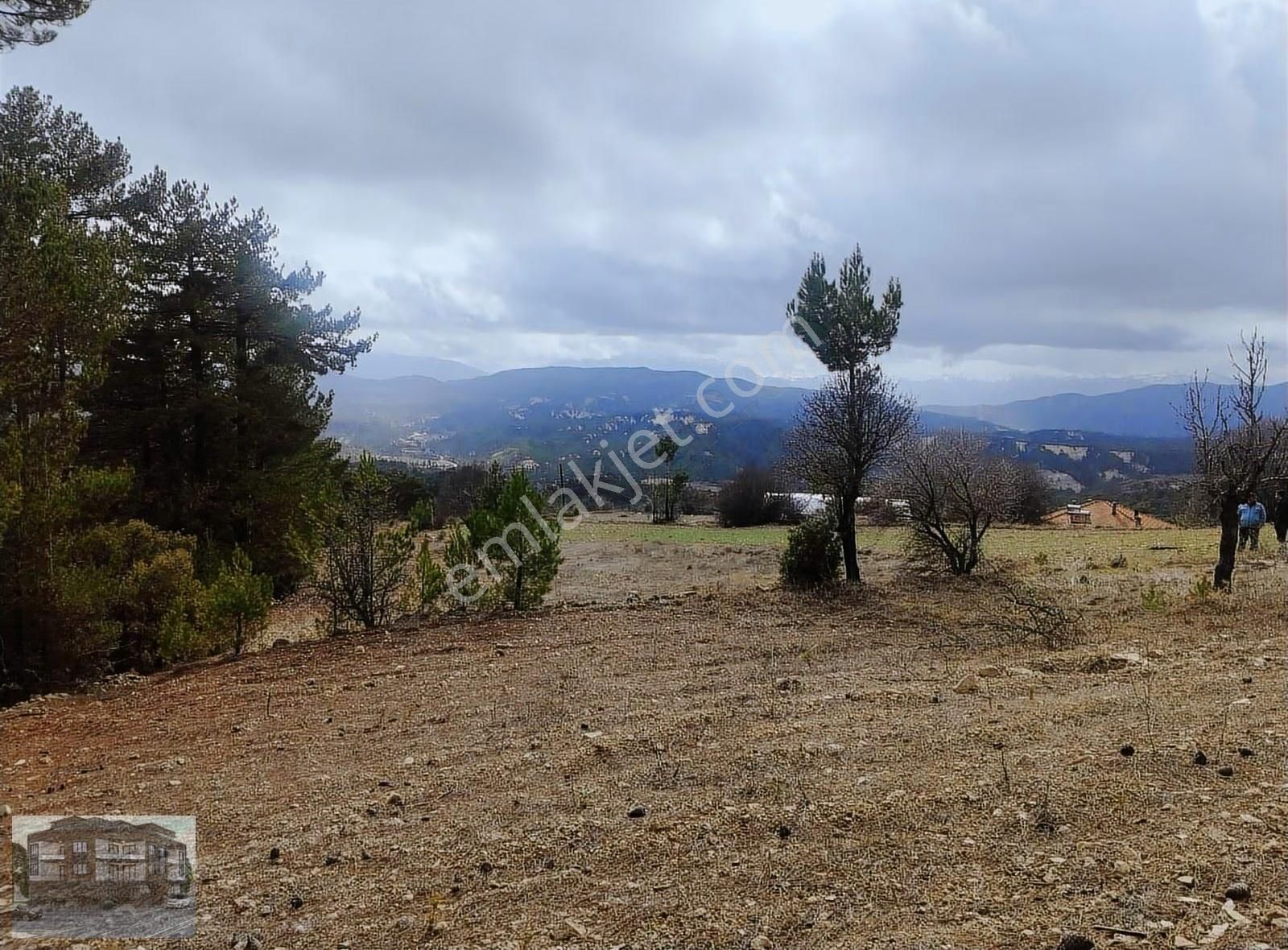 Denizli/çameli/kolak Mh.satılık Tek Parsel Tarla Satılık