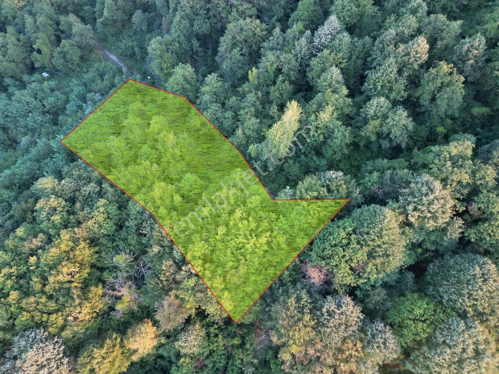 Turyaptan Sapanca Nailiye Merkeze Yakın Yatırmlık 2.469 M2 Arsa - Görsel 21