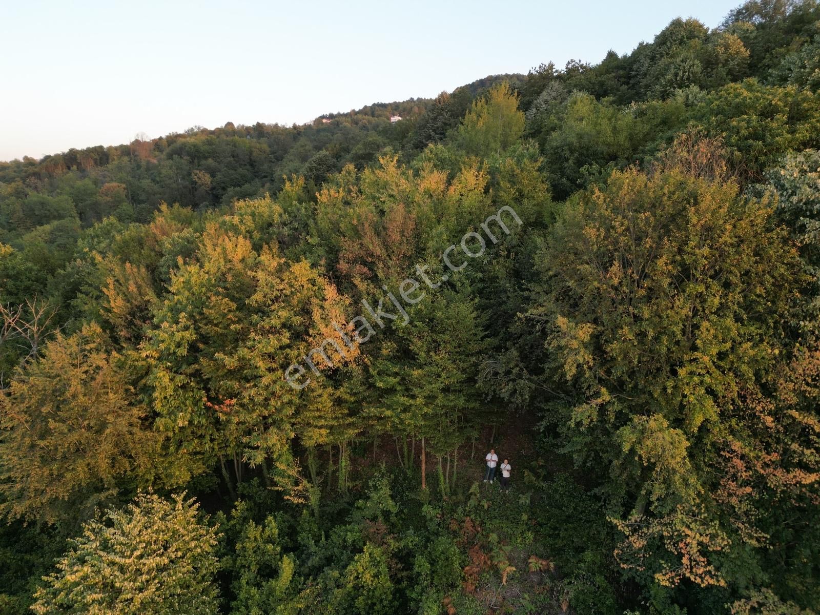 Turyaptan Sapanca Nailiye Merkeze Yakın Yatırmlık 2.469 M2 Arsa - Görsel 28