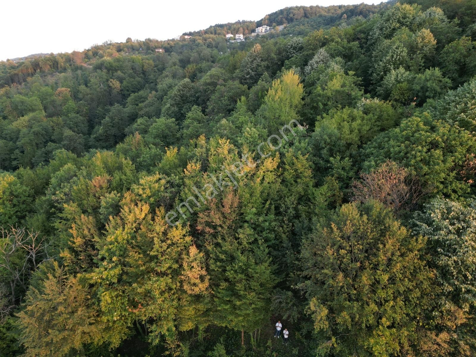 Turyaptan Sapanca Nailiye Merkeze Yakın Yatırmlık 2.469 M2 Arsa - Görsel 29