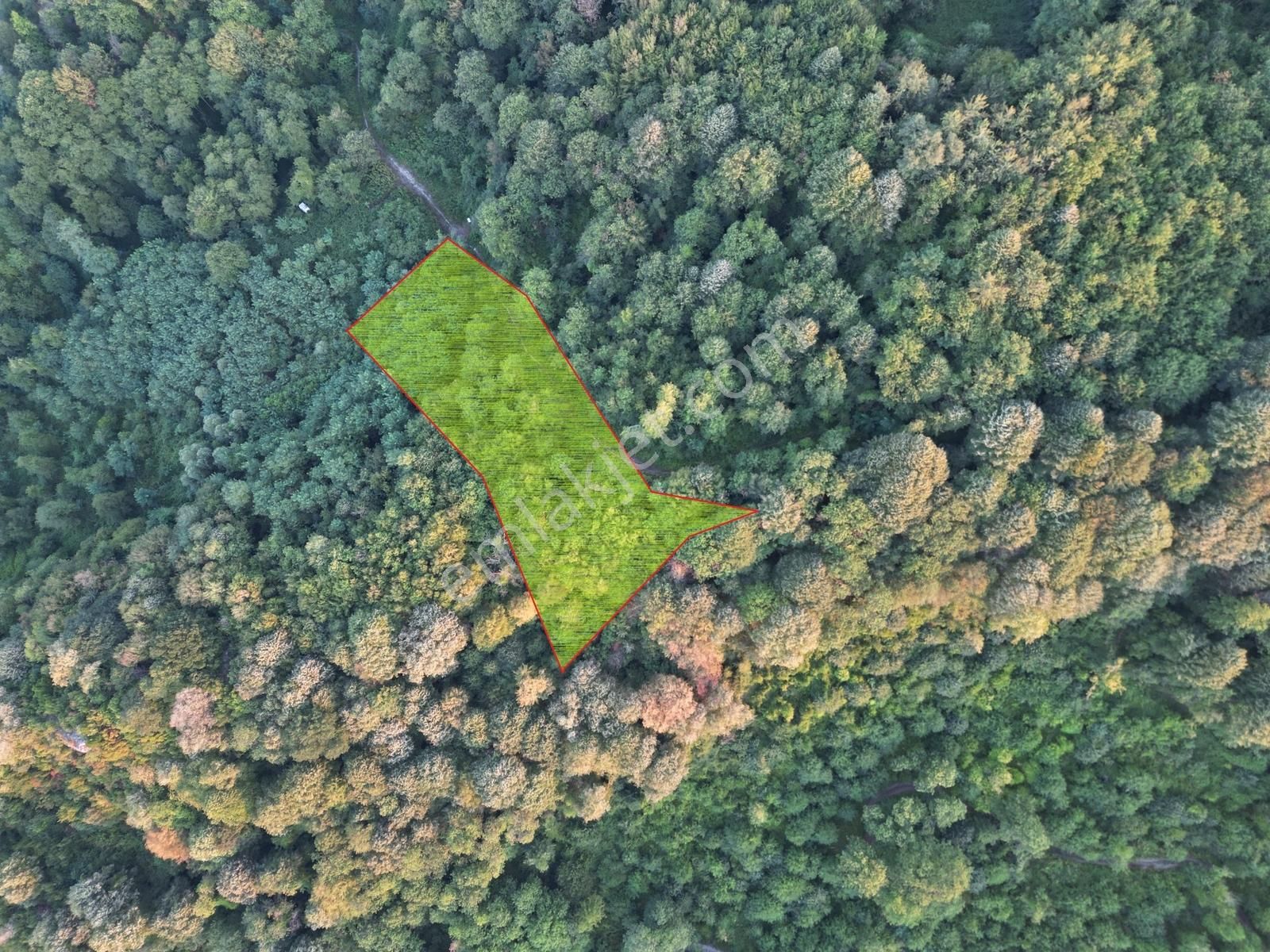 Turyaptan Sapanca Nailiye Merkeze Yakın Yatırmlık 2.469 M2 Arsa - Görsel 4