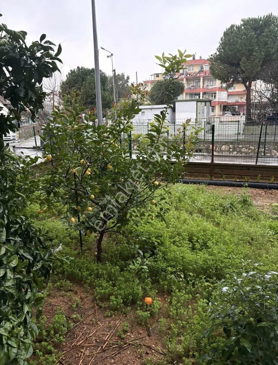 Serik Tekeli Okulu Civarı Müstakil Bahçe Katı 3+1 Kiralık Daire - Görsel 12