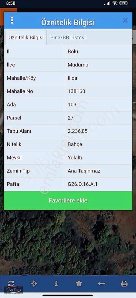 Saroot Termal Kaplıcalarına Yakın Müstakil Tapu Yetişmiş Fındık - Görsel 3