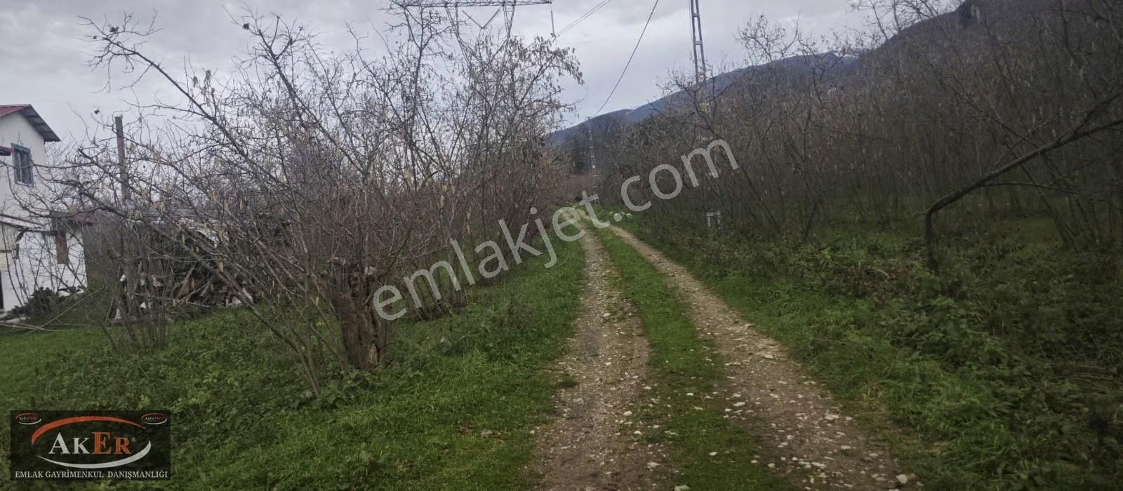 803 Metrekare Yol Su Elektrik Var.düz Sayılacak Konum Fındık Var - Görsel 5