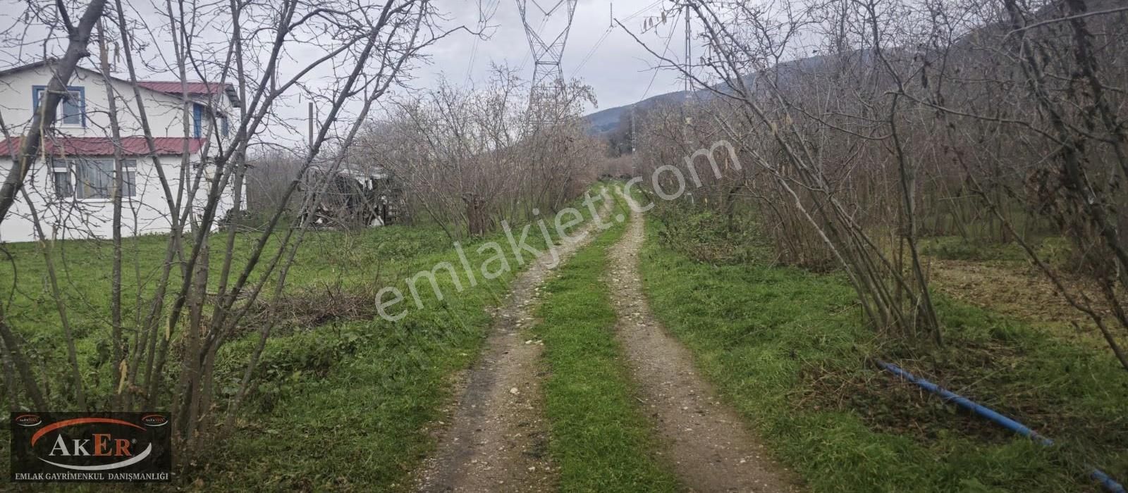 803 Metrekare Yol Su Elektrik Var.düz Sayılacak Konum Fındık Var - Görsel 9