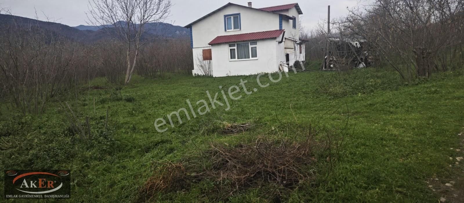 803 Metrekare Yol Su Elektrik Var.düz Sayılacak Konum Fındık Var - Görsel 11