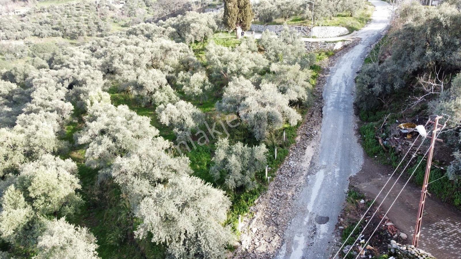 Tire'de Manzara Sevenler İçin Kaçırılmayacak Fırsat Arsa - Görsel 11