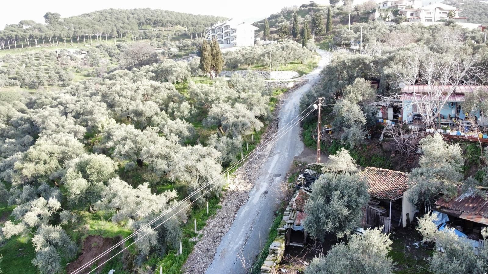 Tire'de Manzara Sevenler İçin Kaçırılmayacak Fırsat Arsa - Görsel 14