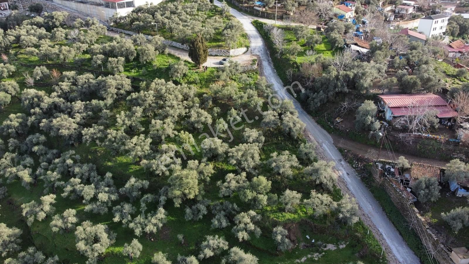 Tire'de Manzara Sevenler İçin Kaçırılmayacak Fırsat Arsa - Görsel 15