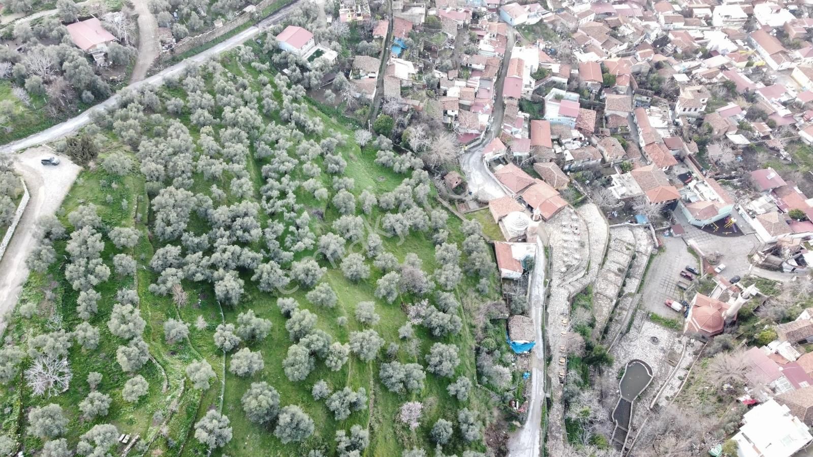 Tire'de Manzara Sevenler İçin Kaçırılmayacak Fırsat Arsa - Görsel 4