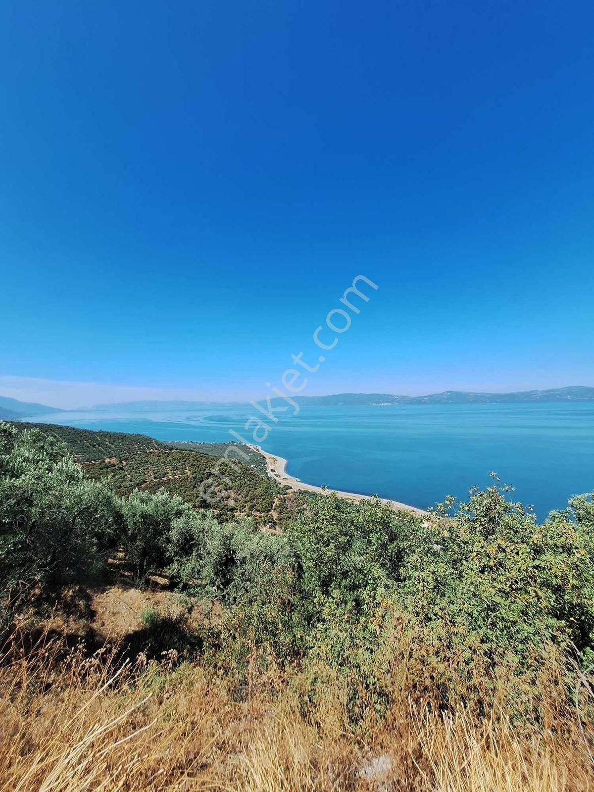 Expert'ten İznik Aydınlarda Satılık 2541m² Zeytinlik