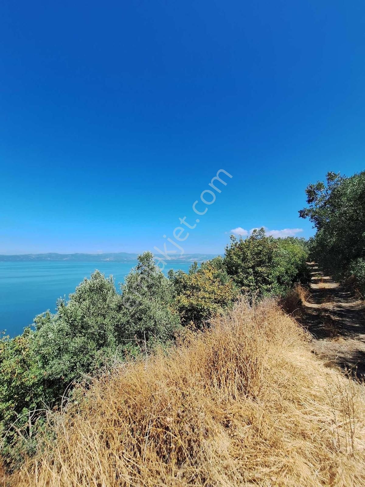 Expert'ten İznik Aydınlarda Satılık 2541m² Zeytinlik - Görsel 10