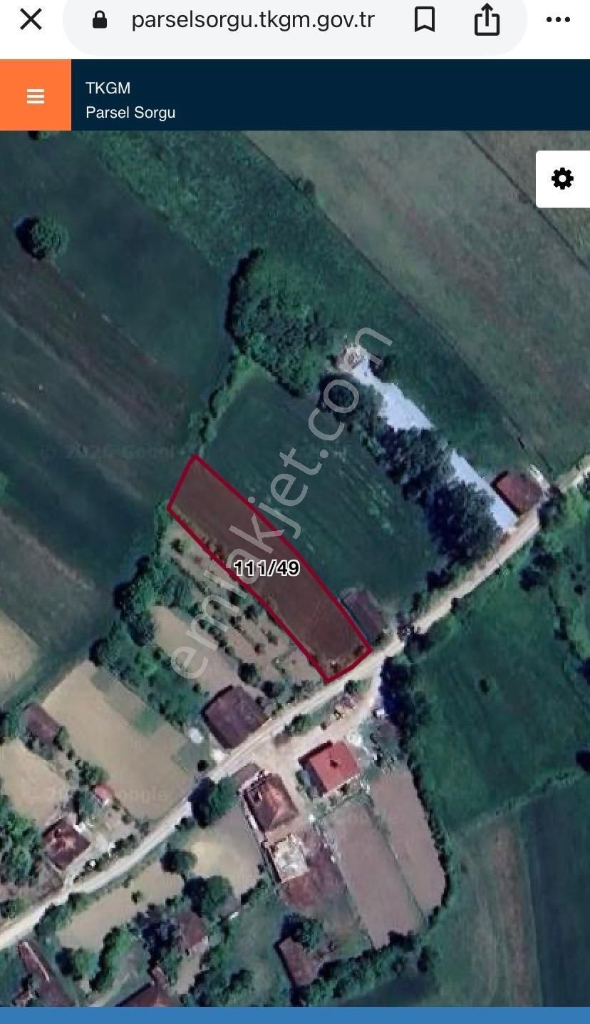 Akgün Kurumsal'dan Kavak'da Satılık 3479 M2 İki Parsel Tarla - Görsel 6