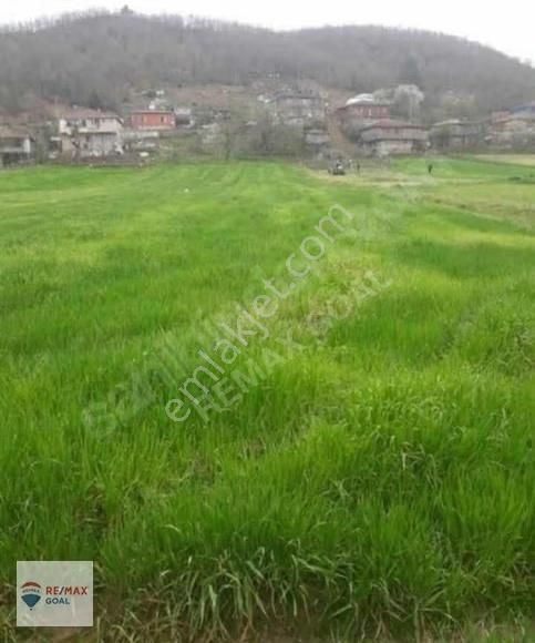 Şile Yeşil Vadi'de 1707 M2 Net İmar Alanına Sahip Fırsat Arsa