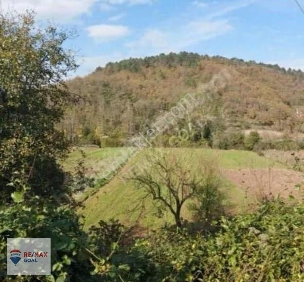 Şile Yeşil Vadi'de 1707 M2 Net İmar Alanına Sahip Fırsat Arsa - Görsel 4