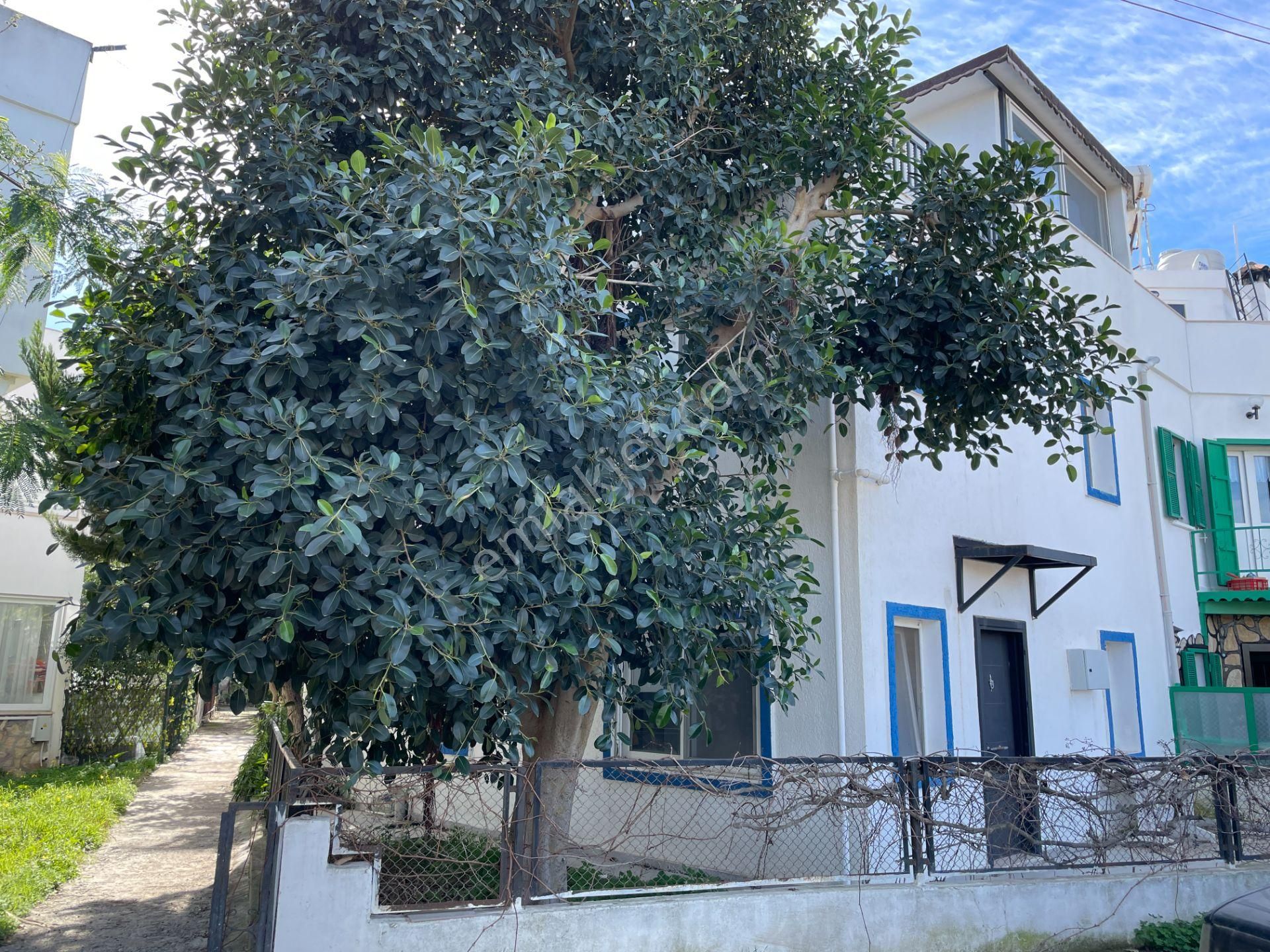 Turgutreis Merkezde Tek Tapu, 3 Bağımsız Birim: Yüksek Kira Getirili Müstakil Bina - Görsel 4